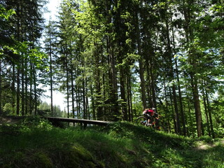 downhill biken
