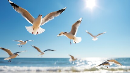 Fototapeta premium Flocks of seagulls glide gracefully above the shoreline, catching the sunlight while the ocean waves gently lap against the sandy beach