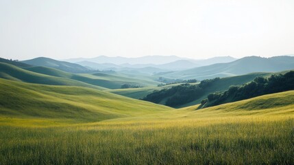 Rolling Hills in Tuscany, Italy