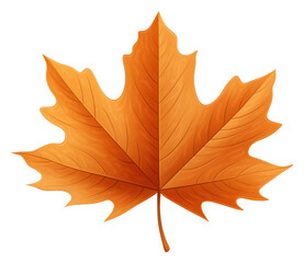 Obraz premium PNG Leaf autumn plant brown.