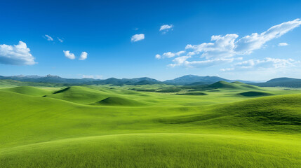 Fototapeta premium highland with rolling green hills