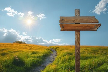 Naklejka premium Wooden blank sign over green grass field
