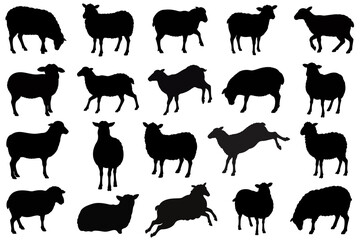 sheep silhouette set collection isolated on white background vector illustration