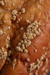 The texture of a rotten apple in a macro photo