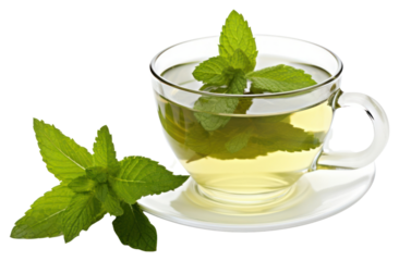 PNG Peppermint tea drink plant herbs.