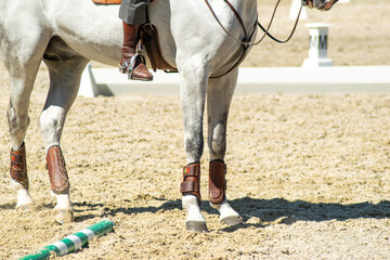 legs of a purebred white horse in an equestrian competition