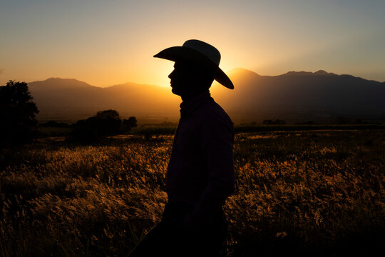Cowbow shadow golden hour | Vaquero a contra luz