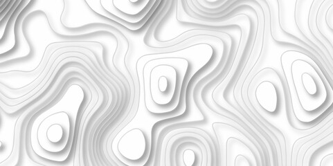 Abstract geometric layered curve line white background. 3d render, paper cut vector art background banner texture. multi layer cutout geometric patterns with smooth wavy layer. white background.