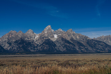 Grand Teton Mountains with meadows in the foreground