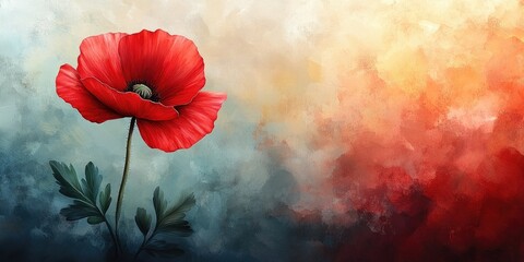 Single Red Poppy Flower on Abstract Background