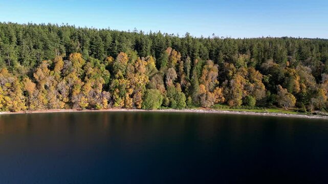 Aerial View of Cama Beach State Park During Autumn in Washington State