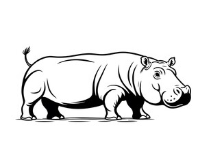 Obraz premium Drawing of a cute hippopotamus, for coloring for example.