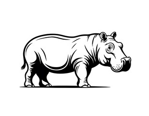 Fototapeta premium Drawing of a cute hippopotamus, for coloring for example.