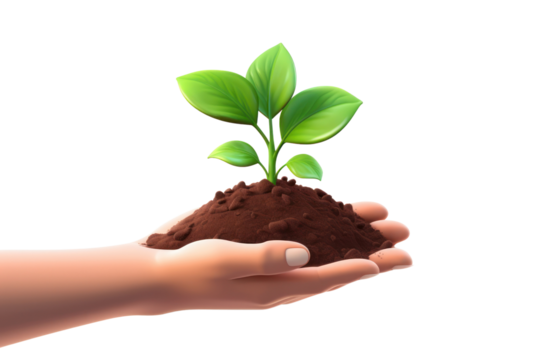 PNG Soil seedling holding plant.
