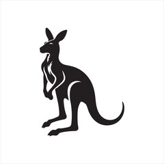 kangaroo illustration