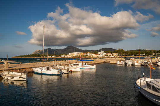 Traditional Majorcan Llaut fishing boats moored in the harbour, Es Barcares, Alcudia, Majorca, Balearic Islands, Spain