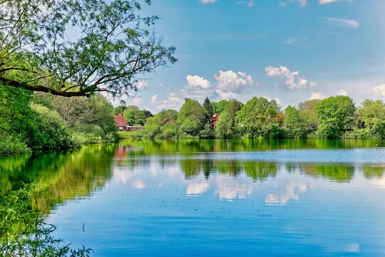 Rural lake and forest landscape in summer, East Frisia, Lower Saxony, Germany