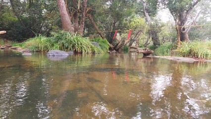 The river kaveri at the Dubare elephant camp at Dubare, Kodagu district, Karnataka, India. People used to cross this river by walk during low level of water to visit elephant camp. 
