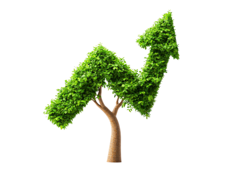 a tree with leaves growing up