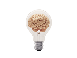 a light bulb with a human brain inside