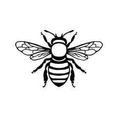 Fototapeta premium Bee vector illustration design