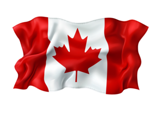 a flag with a red and white flag