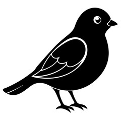 bird on a branch