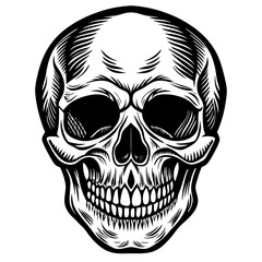 skull on black