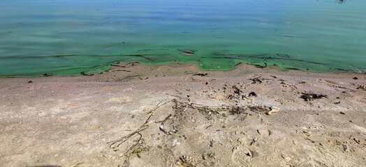 Water pollution by blooming blue green algae - is world environmental problem. Water bodies, rivers...