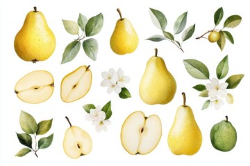 Watercolor clipart collection featuring ripe pears with leaves, pear slices, blooming flowers, and branches in soft yellow and leafy green, perfect for country-themed designs