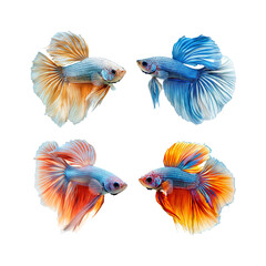 A vibrant set of colorful fish and tropical birds in a playful, cartoon-style ocean scene