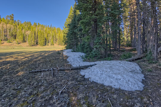 Taken near the end of May 2024, the last remnants of winter snow on the North Rim of Grand Canyon National Park, Arizona, United States of America