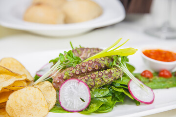 Pulpo Platillos de Cocina Exotica Mexicana