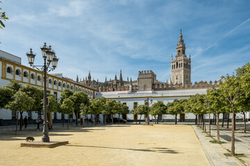 Detail of the historic centre (Casco Antiguo) of Seville, the largest city of Andalusia, with the Giralda in the background, UNESCO World Heritage Site, Seville, Andalusia, Spain