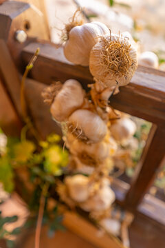 View of garlic cloves, Theologos, Thassos, Aegean Sea, Greek Islands, Greece