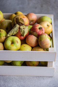 Close-up of freshly harvested organic apples in a wooden crate