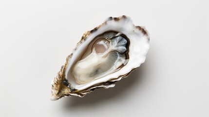 Naklejka premium Fresh appetizing oyster on a white background, isolated