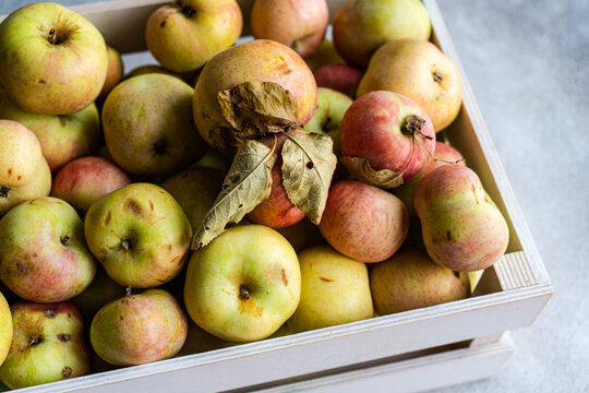 Close-up of freshly harvested organic apples in a wooden crate