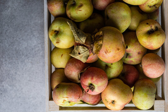 Overhead view of freshly harvested organic apples in a wooden crate