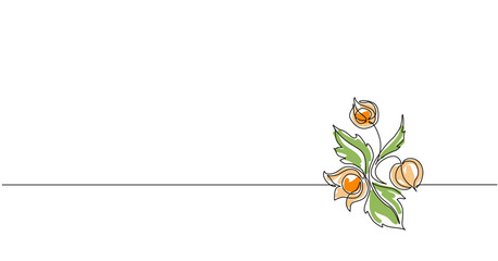 Simple vector outline illustration with the branch of tomatillo with seeds. Outline art with Mexican husk tomato.