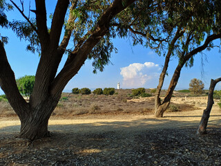ruins in Cyprus, Paphos