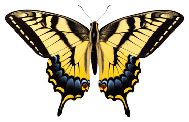 PNG Butterfly animal insect white background.