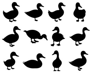 Duck silhouette set collection isolated on white background vector illustration