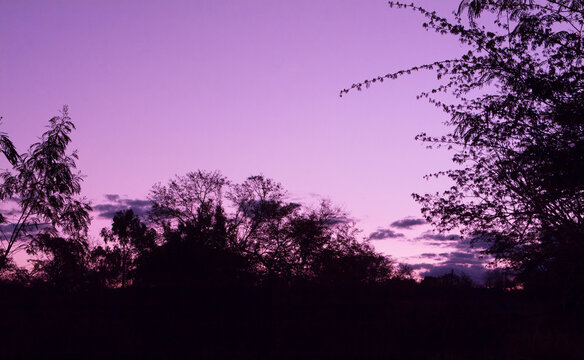 At dusk, the sun creates an effect in the sky, changing its colors, the shadows of the trees in the horizon brighten the photograph even more