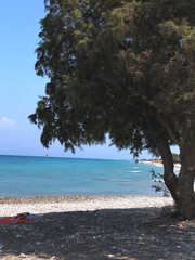 Relaxing Beach Spot Under Tree on Holiday