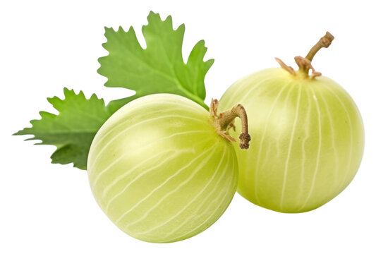 PNG Fruit plant food white background.