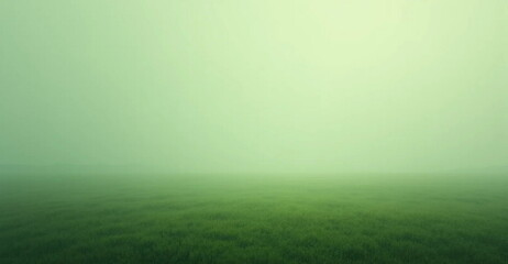 green field with fog