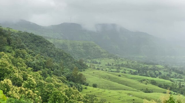 lush green scenery seen during the monsoon at Patan near koynanagar in Konkan, Maharashtra, India