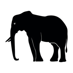 Set of Elephant Silhouettes. Silhouette of elephant. Elephant silhouette. Animal Elephant Silhouettes vector illustration