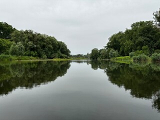 reflection of trees in the water